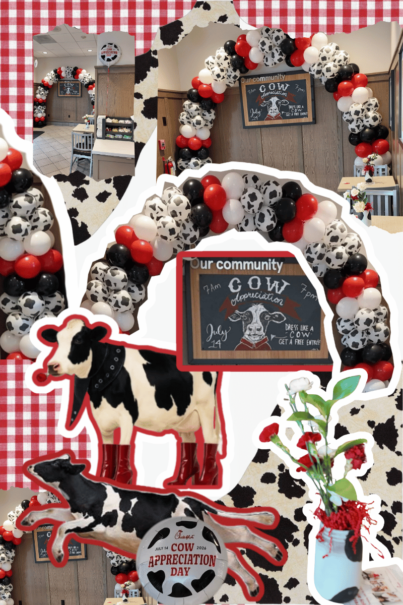 corparte balloon decor in rhode island cowprint balloons black balloons and red balloons balloon arch