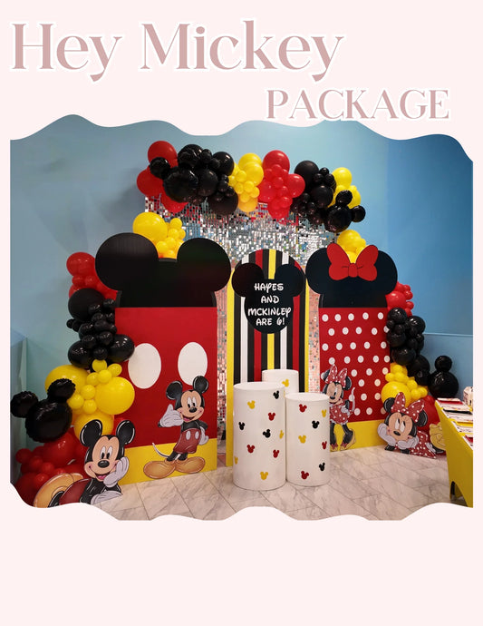 mickey and minnie birthday party decor Rhode Island